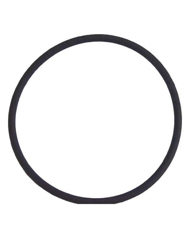 Joint torique de lentille de caméra arrière pour Apple iPhone 8 Plus (lot de 100)