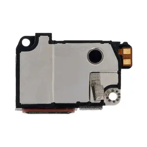 Écouteur Interne Premium Google Pixel 6