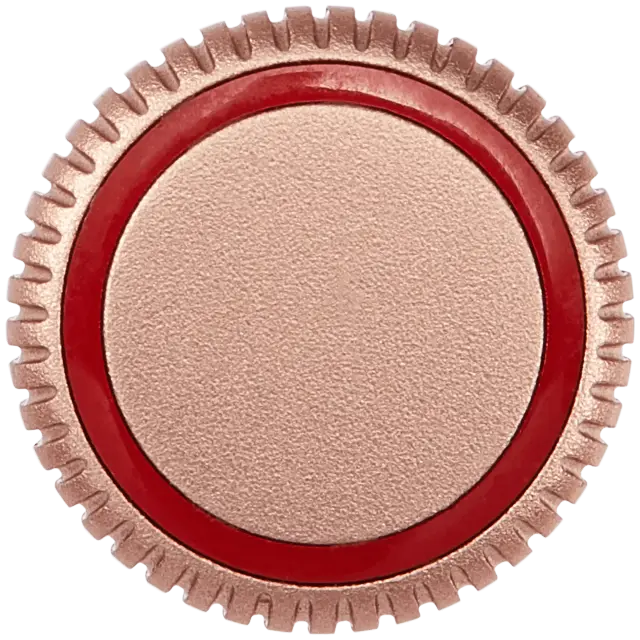 Écrou de couronne pour Apple Watch Series SE (1st Gen) (40MM / 44MM) (LTE Version, or)