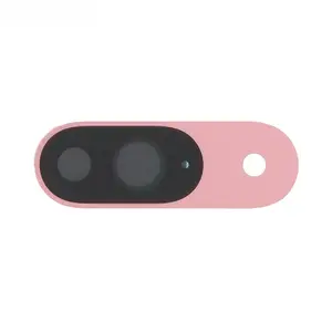 Lentille Premium Google Pixel 9 Rose Pivoine