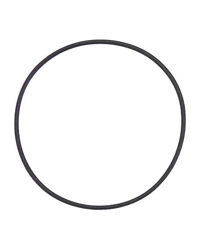 Joint torique de lentille de caméra arrière pour Apple iPhone X / XS / XS Max (lot de 100)