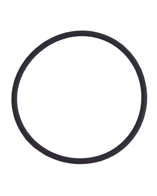 Joint torique de lentille de caméra arrière pour Apple iPhone 7 Plus (lot de 100)