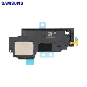 Haut-Parleur Original Samsung Galaxy Tab S8 Plus 5G X806/Galaxy Tab S8 Plus Wi-Fi X800 GH96-14955A 1