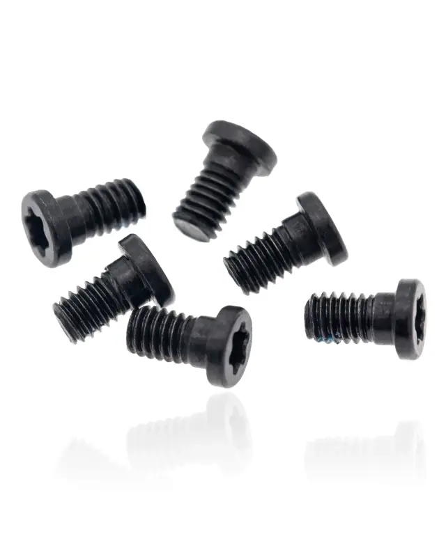 Vis de charnière Torx T8 pour Apple MacBook Pro 13" A1502 (2013-2015)