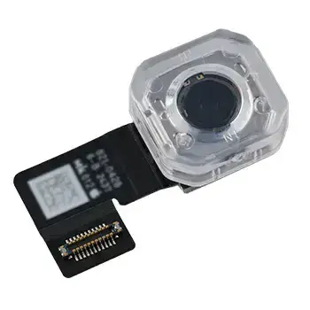 Caméra arrière pour Apple iPad Air 11" (2025) (WiFi / Cellular, origine)