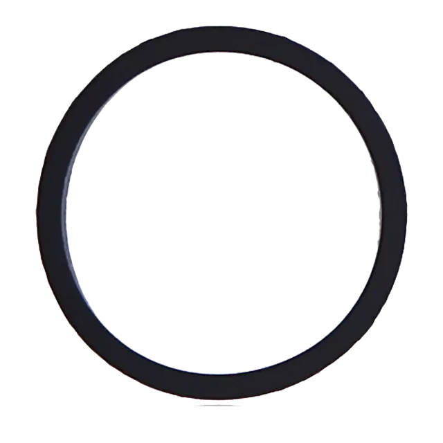 Joint pour Apple iPhone 7 / 7 Plus (lot de 10)