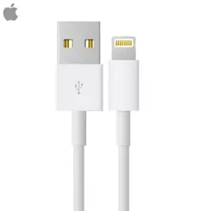 Câble Data USB vers Lightning Apple 4Q2E2ZM/A Bulk Blanc