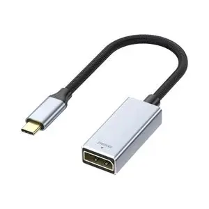 Câble USB-C Mâle vers DisplayPort Femelle 4K/8K (144Hz/60Hz) - 0,25m