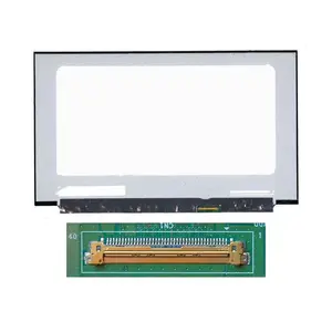 Dalle Ordinateur Portable 15.6" Slim QHD (2560x1440) IPS 165Hz 40pin Droite 25mm, sans Fixations ~350mm
