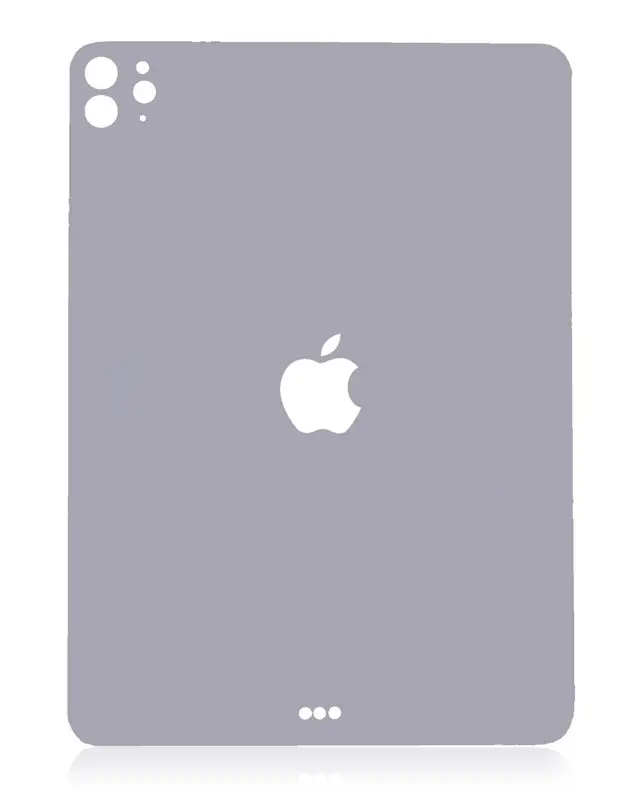 Coque pour Apple iPad Pro 11" 4th Gen (2022) (gris sidéral)