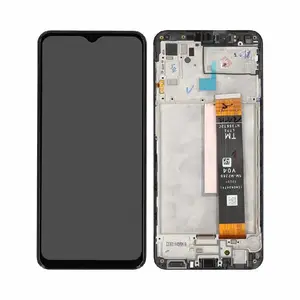 Écran Tactile Premium avec Châssis Samsung Galaxy M33 5G M336 Noir