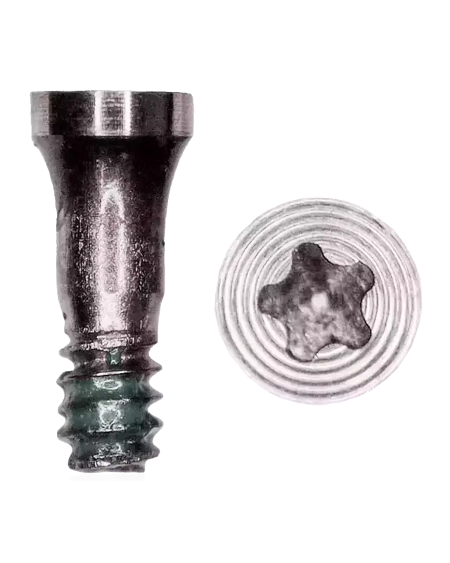 Vis inférieure pour Apple iPhone 7 / 7 Plus (argent, lot de 100)