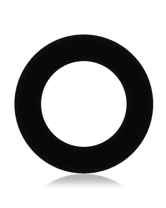 Vitre de caméra arrière pour Apple iPad 5 (2017) / iPad 6 (2018) / iPad 7 (2019) / iPad 8 (2020) / iPad 9 (2021) / Air 2 / Mini 4 / Mini 5 / iPad Pro 12.9" 1st Gen (2015)