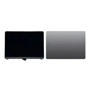Écran LCD Complet OEM Apple MacBook Air M3 13" (2024) A3113 Gris Sidéral